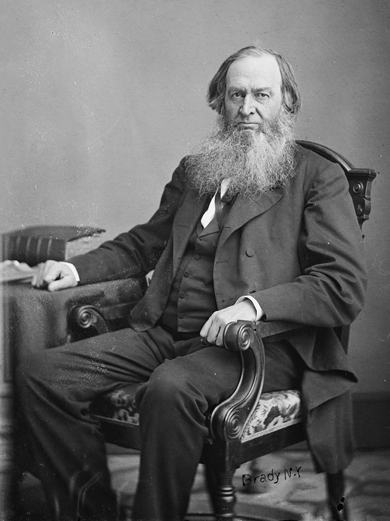Seated in a formal chair, in a full-cut suit of plain dark cloth and a matching rumpled vest, a man gazes gravely at his photographer. His mouth is set and his wide gray beard is long enough to cover his loose cravat.