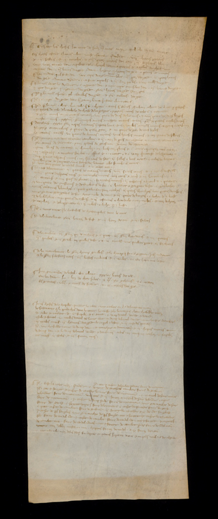 Figure 7. An unfurled parchment roll, written in medieval French handwriting.