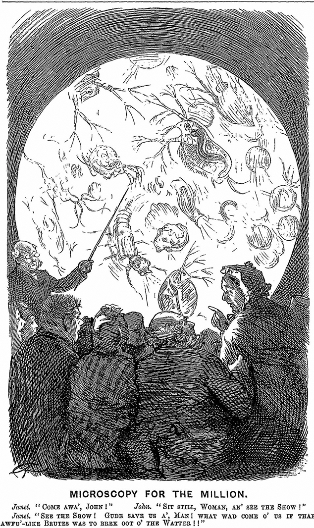 Figure 1.2. Cartoon (line drawing) of audience members looking at a projection of large slimy insects on a screen. The text reads: “Janet. ‘Come awa’, John!’ John. ‘Sit still, Woman, an’ see the Show!’ Janet. ‘See the Show! Gude save us a’, Man! What wad come o’ us if thae awfu’-like Brutes was the brek oot o’ the Watter!!’ ”