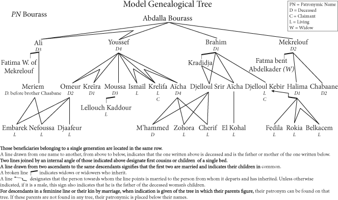 Figure 8 / Official model of genealogical tree. Adapted from Manuel du commissaire enquêteur pour l’application de la loi du 26 juillet 1873 (Alger, 1879). Redrawn by Julianna Teoh.