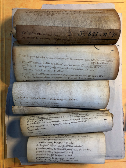 Figure 1. An open archival folder of five medieval parchment rolls arranged from the largest at the top to the smallest at the bottom.