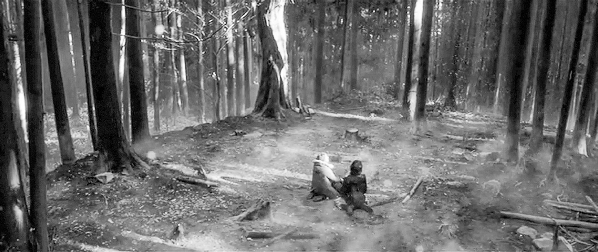 Two human figures sit in the middle of a burnt-down forest with the sunlight coming in from the still-standing trees.