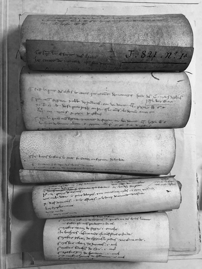 Figure 1. An open archival folder of five medieval parchment rolls arranged from the largest at the top to the smallest at the bottom.