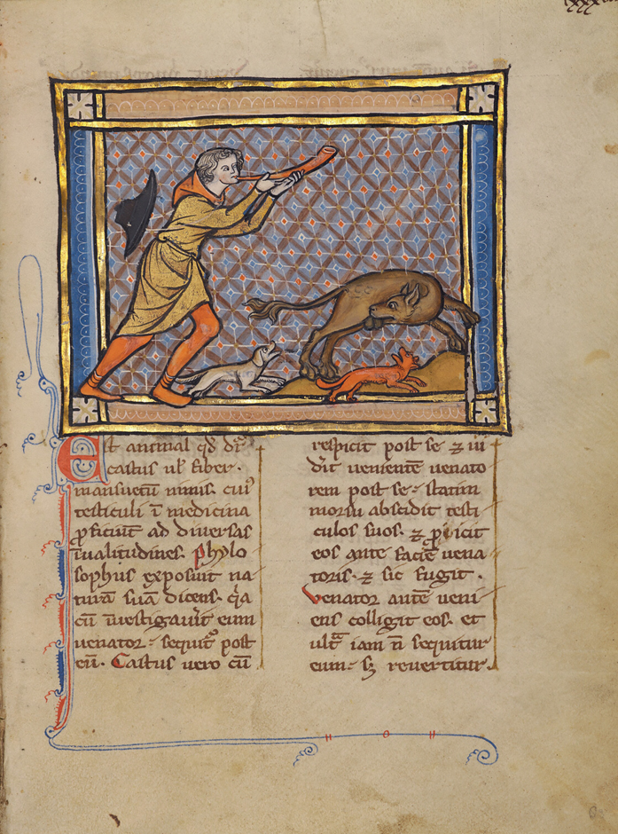 Figure 22. An illuminated manuscript page with an image of a hunter blowing a horn and chasing a beaver, who is biting off his testicles.