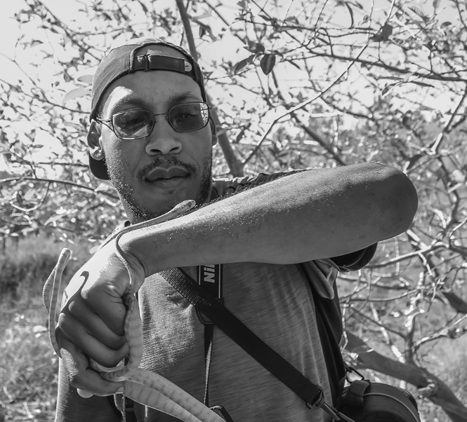 Phillip Skipwith holds a slender, arboreal snake, which has started to climb up his arm.