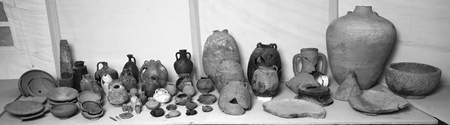 Figure 12.7. An assemblage of ceramic pieces in a long row from Room 25 at Bi’r Samut.