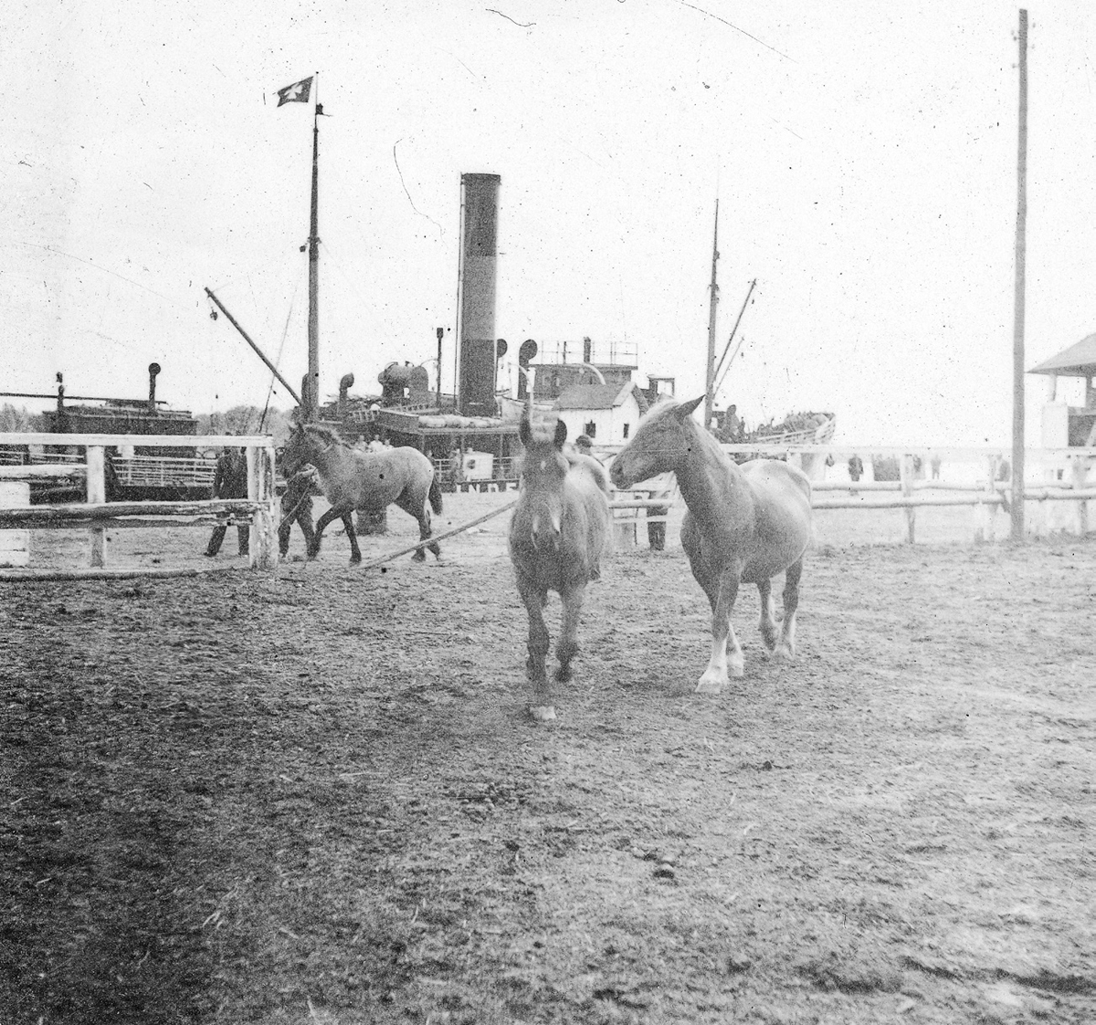 Figure 11. Two horses walk toward the camera; behind them is a fence, along which men lead a third horse. In the very background is a ship.