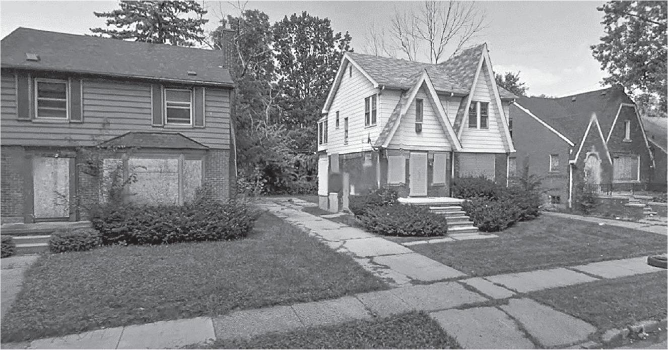 Figure 11.2: A photograph showing vacant houses in the Crary–St. Mary’s neighborhood.