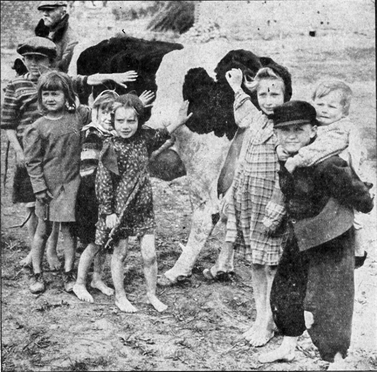 Figure 14. A group of seven mostly barefoot children pose with a cow; some are touching the cow.