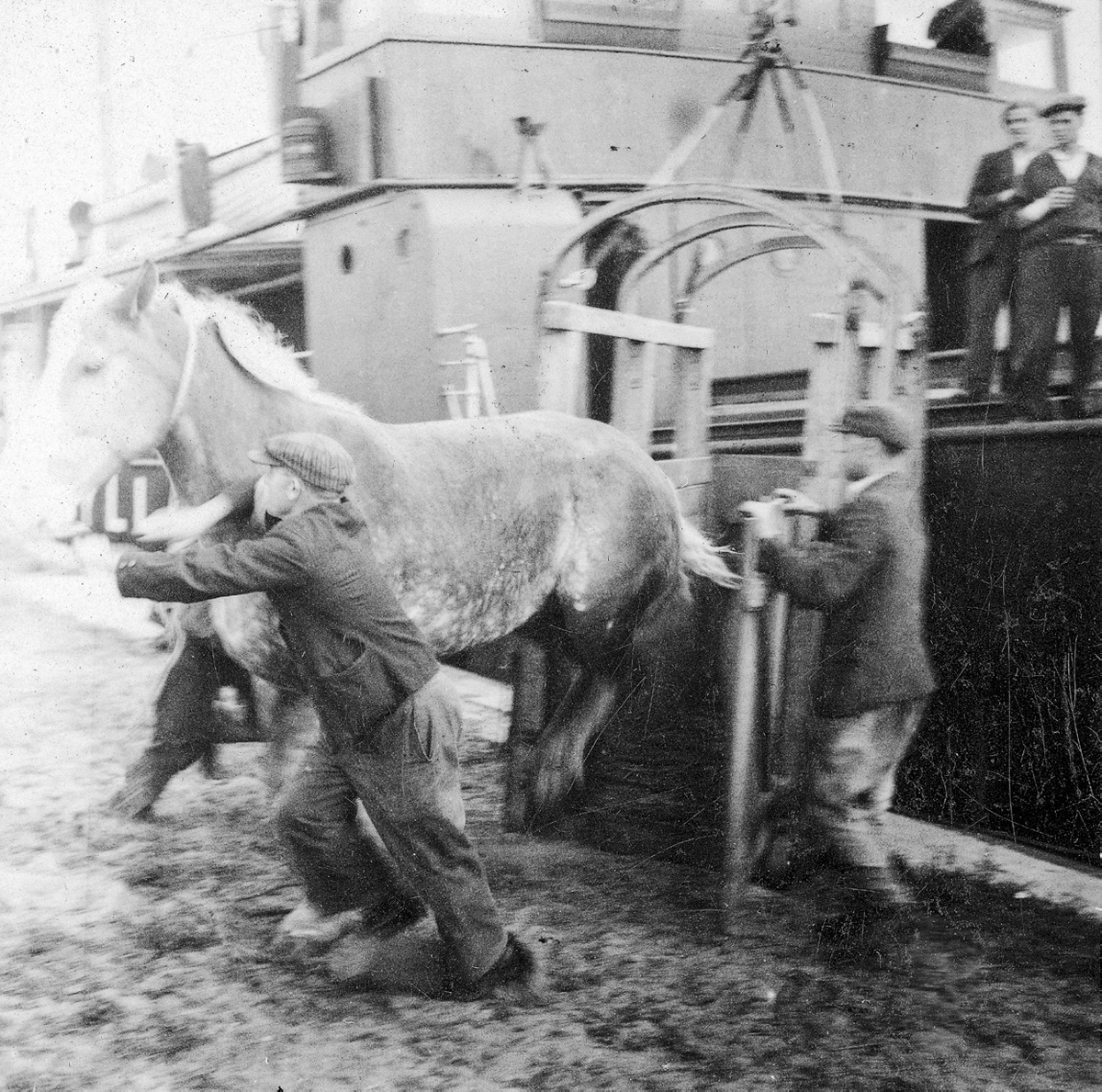 Figure 9. A horse runs out of a wooden crate next to a ship; one man holds the horse's reins while another holds open the crate door, and two more men watch from the ship's deck.