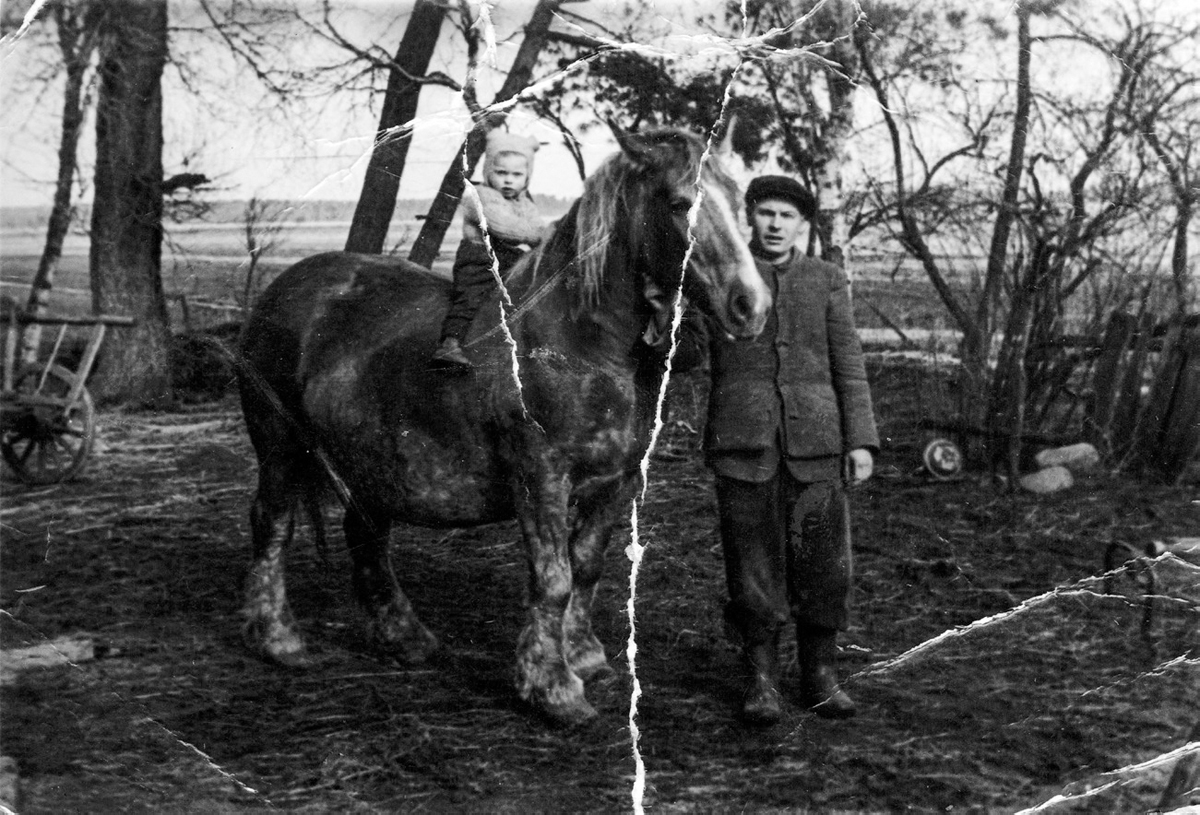 Figure 12. A man stands, holding the reins of a horse. A young child rides on the horse's back.