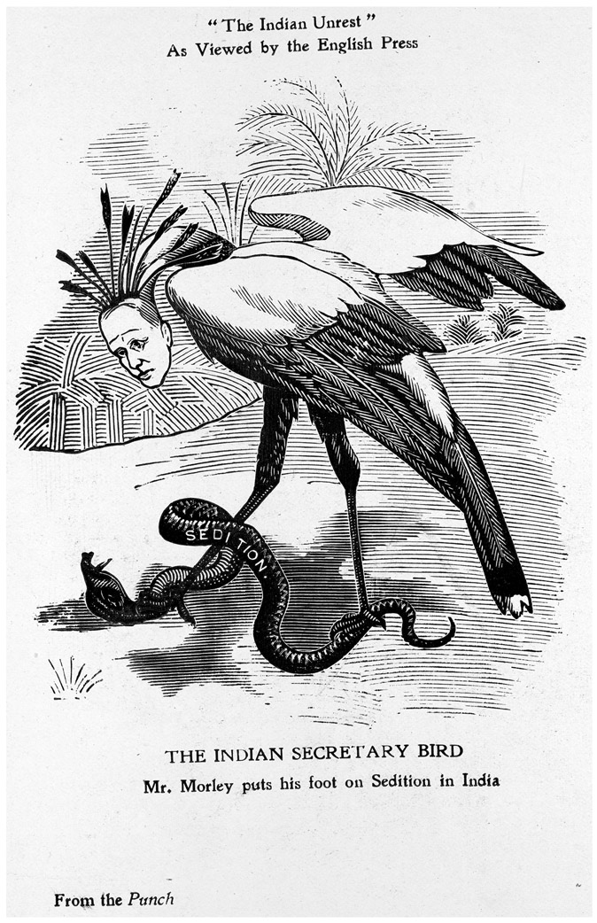 FIGURE 3.4 / First illustration of “The Indian Secretary Bird” accompanying an article entitled “Reflections of Men and Things” from the Indian World, vol. 28, July 1907. General Reference Collection, British Library. Shelfmark P.P.3779.hfb., © British Library Board.