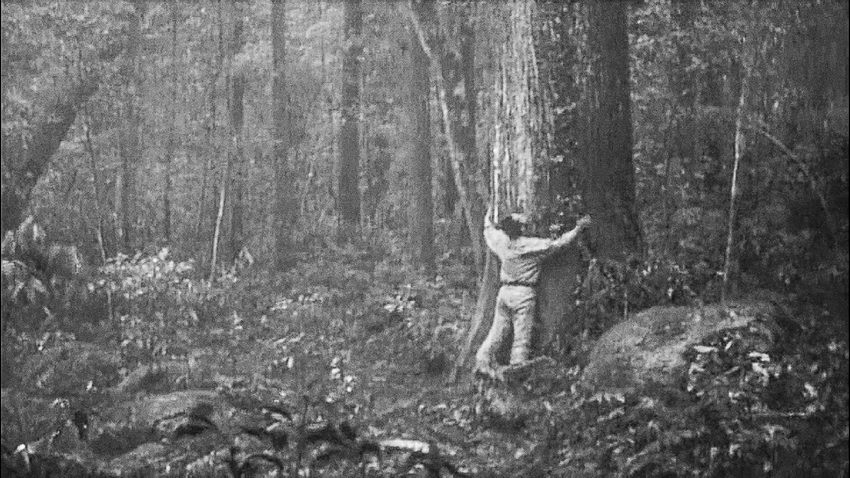 A man stands at the bottom of a massive tree in the forest, his arms outstretched and embracing the trunk of the tree.