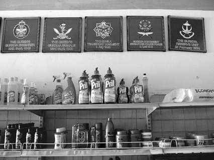 Figure 3.5. Two shelves filled with cleaning supplies in the Gurkha Grocery Store, Pokhara.