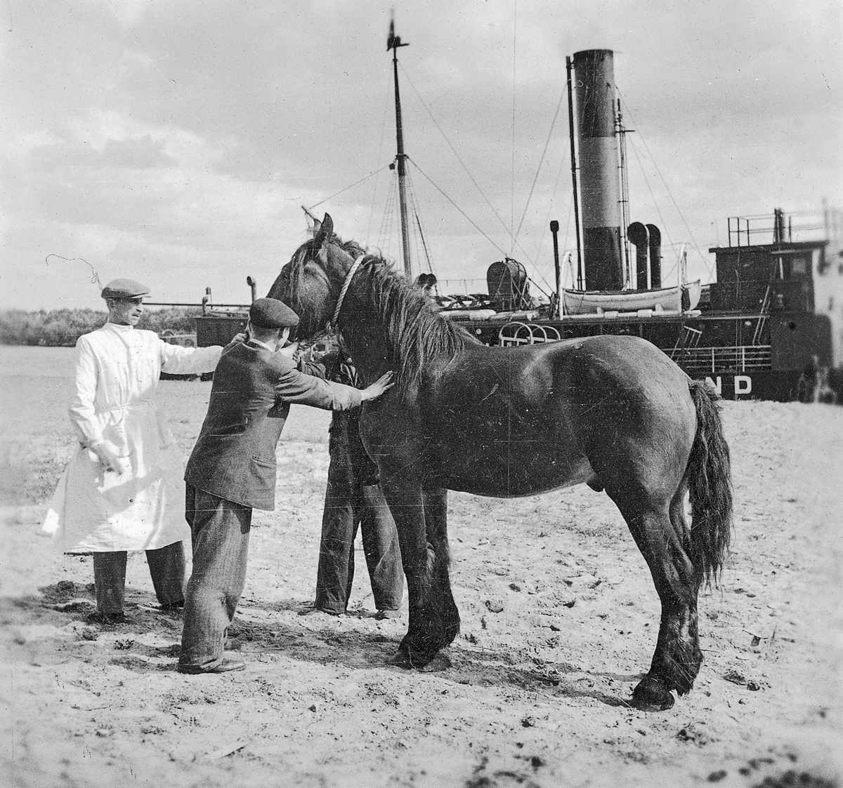 Figure 10. A man in a white coat stands in front of a horse, while two men in suits hold the horse's reins. A ship is in the background.