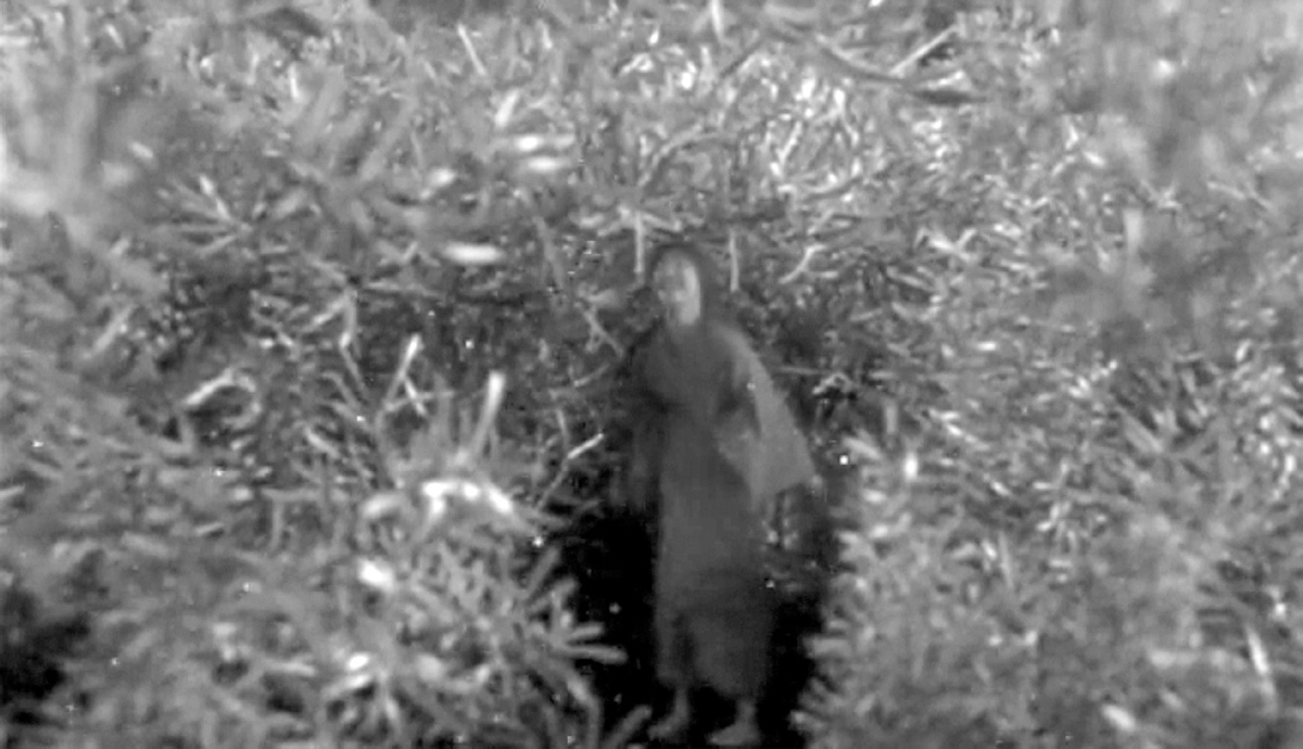 A young woman stands inside a moss plant that is significantly larger than she is. The woman wears a big smile on her face.