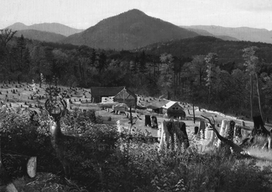 This painting shows a wide clearing studded with tree stumps, a small log cabin at the back, and a mountain range lifting behind the cabin. In the foreground, gazing at the viewer, is a stag.
