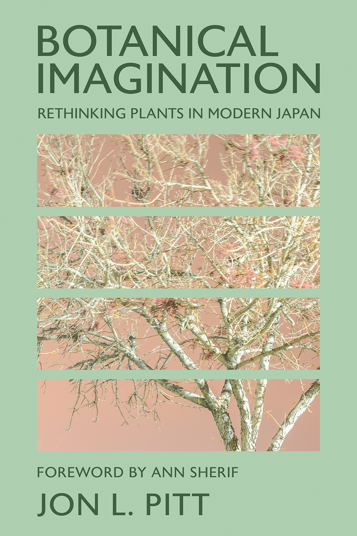 Cover: Botanical Imagination: Rethinking Plants in Modern Japan by Jon L. Pitt and Foreword by Ann Sherif