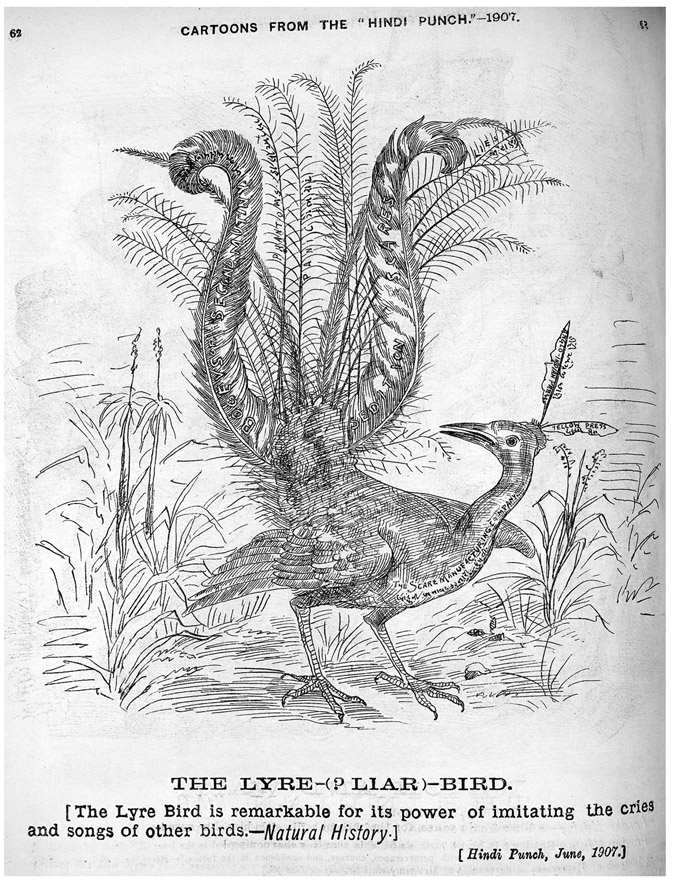 FIGURE 2.16 / “The Lyre-(?Liar)-Bird” from Hindi Punch, June 30, 1907, 14. Asia Pacific and Africa Holdings, British Library. Shelfmark SW238, © British Library Board.