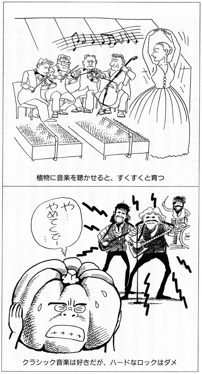 In the top panel, a string quartet plays music for two seedbeds being watered while a ballerina dances off to the side. Below this, a hard rock band performs while an anthropomorphized pumpkin holds its hands to its head and displays a distressed face, asking the band to stop in Japanese.