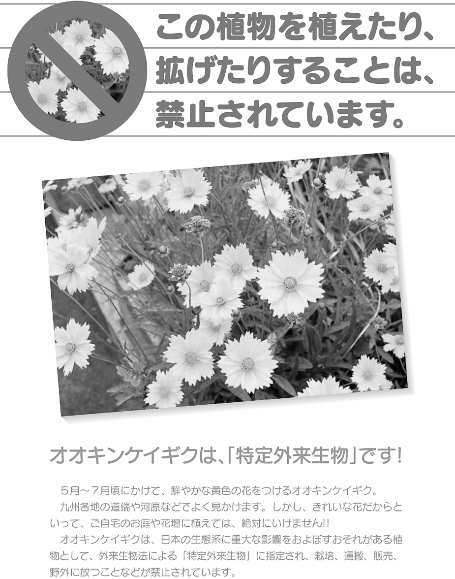 Japanese text surrounds a picture of flowers in bloom. In the top left corner, a circle with a line through it covers a photo of flowers, indicating that the flowers are to be prohibited.