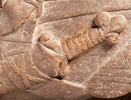 Figure 3. Detail of figure 2. A sword hilt with bands wrapped around it, the pommel trilobate, the quillons angled upward and ending in curled lobes. The hilt projects from a partially visible scabbard attached to a belt.