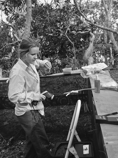 A woman stands inside a fenced enclosure with an infrared thermometer in her hand.